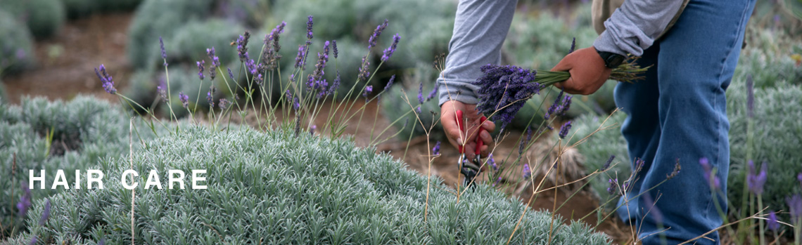 HAIR CARE